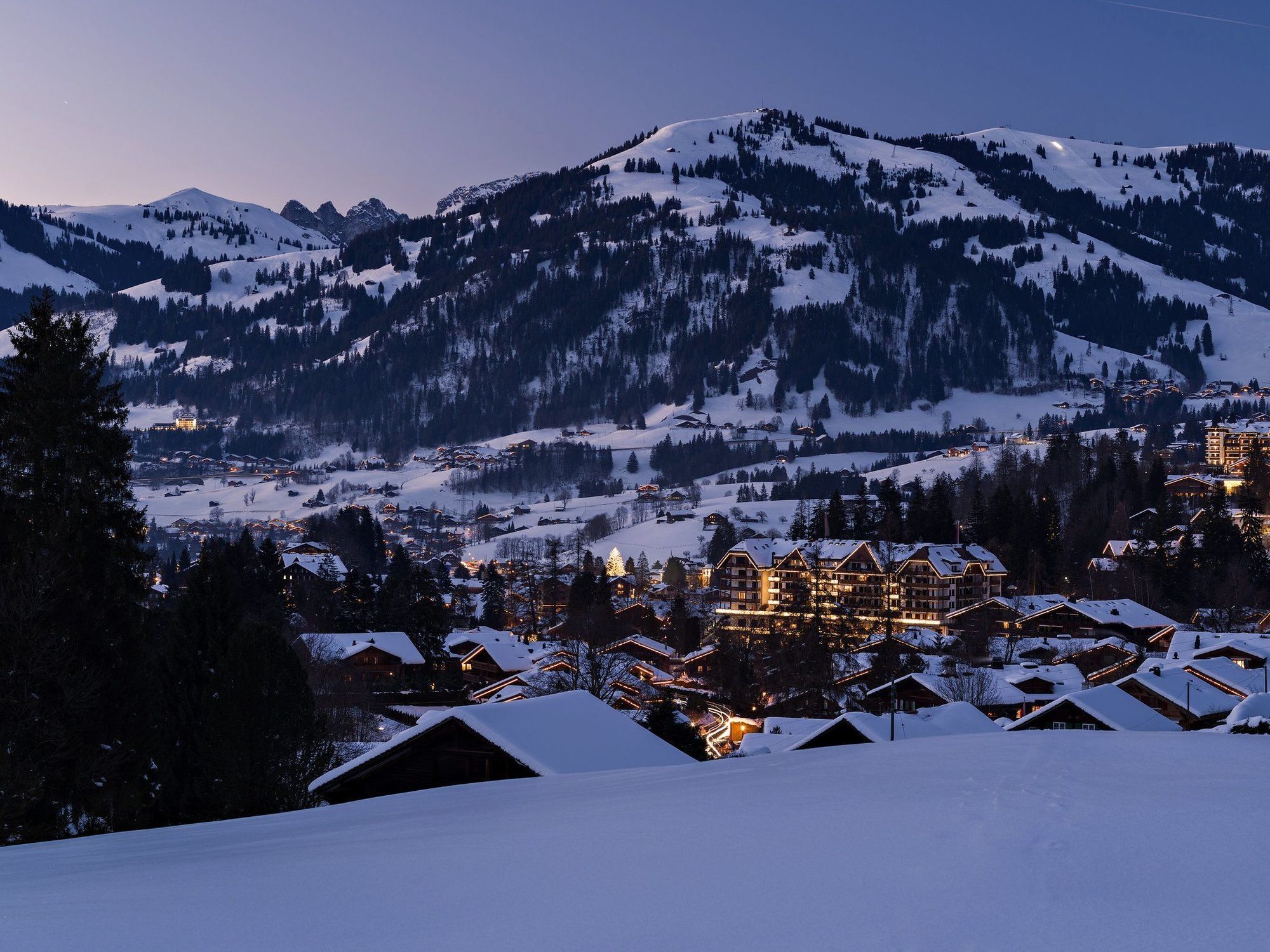 Chalet Grand View - Gstaad Занен Экстерьер фото